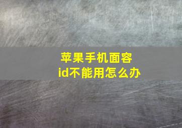 苹果手机面容 id不能用怎么办